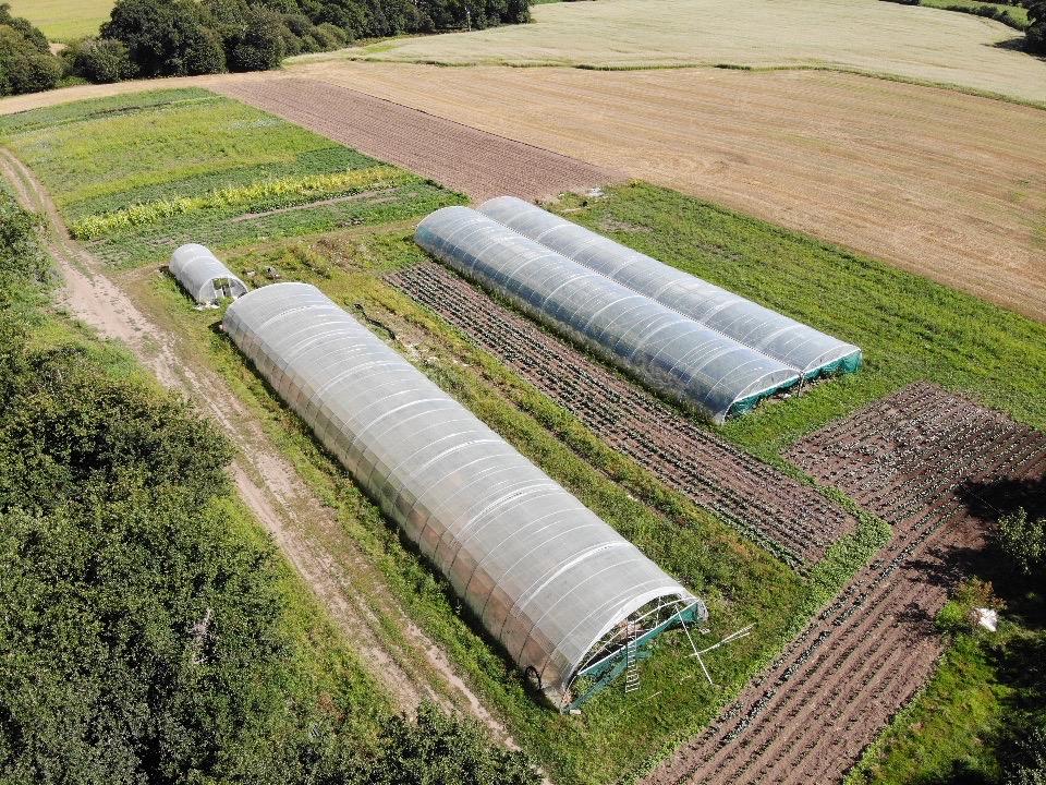 Au fil des saisons Légume à la ferme